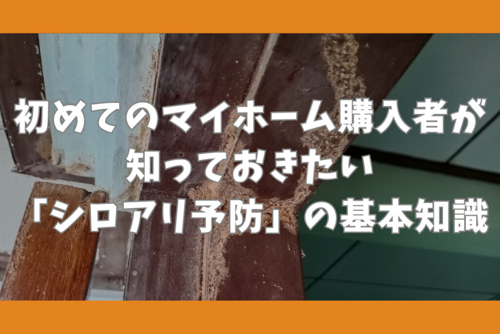 初めてのマイホーム購入者が知っておきたい「シロアリ予防」の基本知識